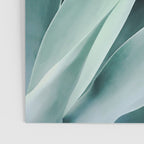Agave flare II - peach Poster Gallery Image 3
