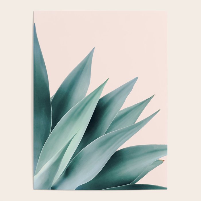 Agave flare II - peach Poster Gallery Image 1