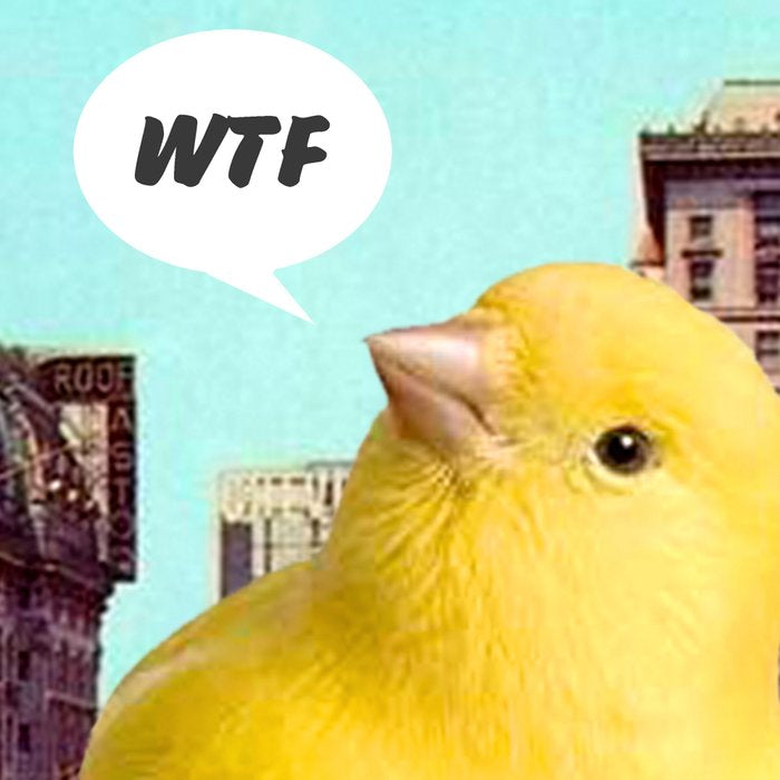 Canary in the City Coffee Mug Gallery Image 2