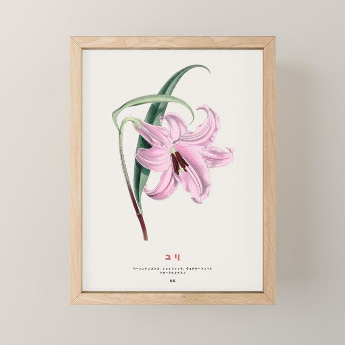 Japanese lily Mini Art Print Gallery Image 1