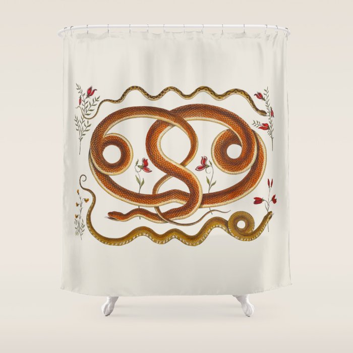 Albertus Seba Snakes Flowers Engraving ii Shower Curtain Gallery Image 1