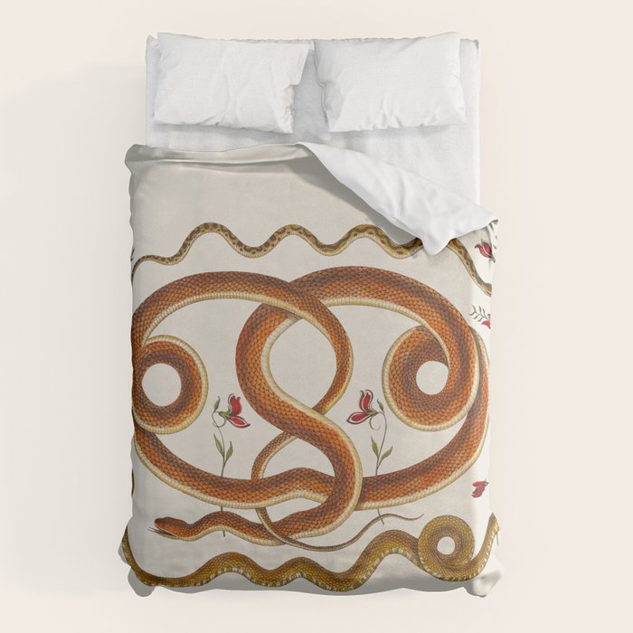 Albertus Seba Snakes Flowers Engraving ii Duvet Cover Gallery Image 6
