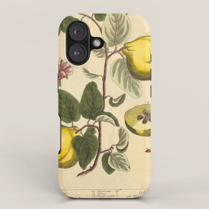 Qiunce by Elizabeth Blackwell from "A Curious Herbal," 1737 (benefiting The Nature Conservancy) iPhone Case Gallery Image 1