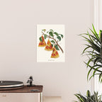 Pizza Plant Poster Gallery Image 2