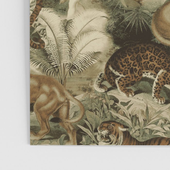 Beautiful Forest Poster Gallery Image 3