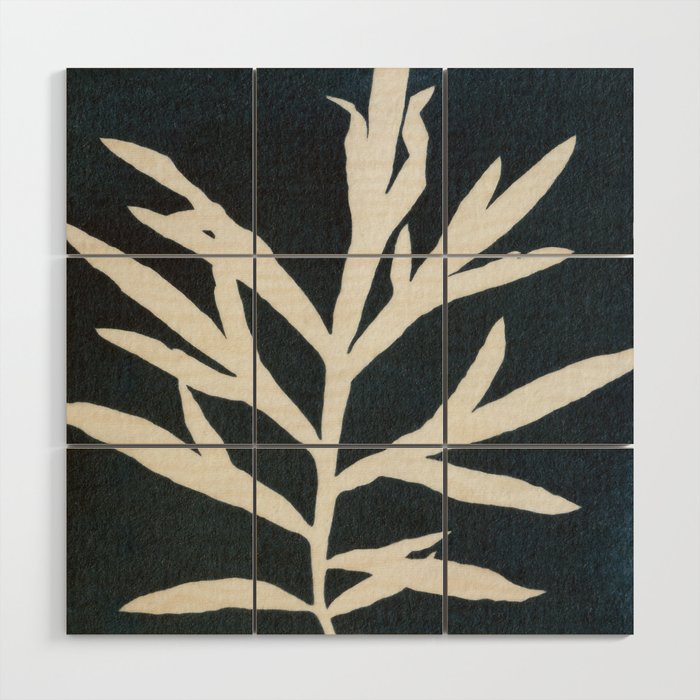Cyanotype Still Life Studies #3 Wood Wall Art Gallery Image 1