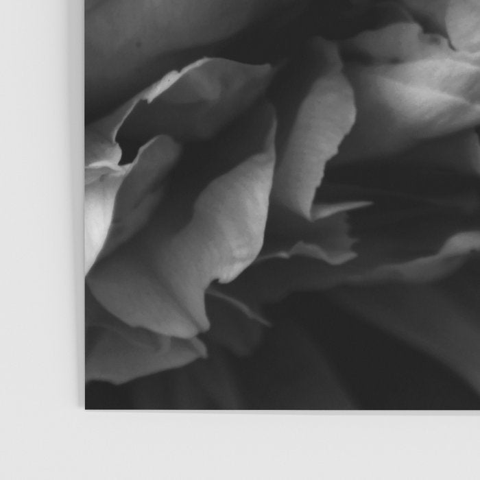 Black and White Summer Peony Poster Gallery Image 3