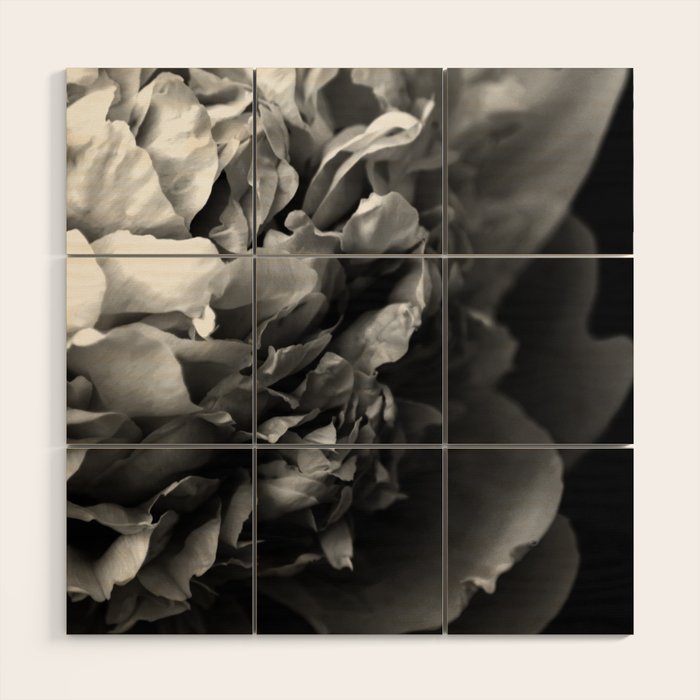Black and White Summer Peony Wood Wall Art Gallery Image 1