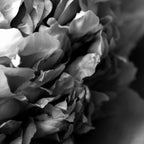 Black and White Summer Peony Coffee Mug Gallery Image 2