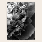 Black and White Summer Peony Poster Gallery Image 4