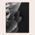 Black and White Summer Peony Notebook Gallery Image 4