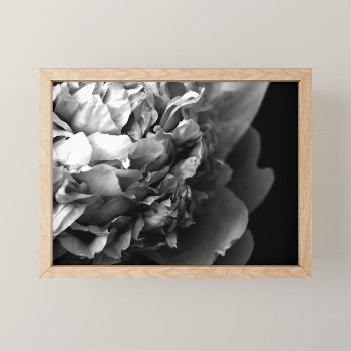 Black and White Summer Peony Mini Art Print Gallery Image 1