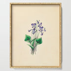 Violets by Clarissa Munger Badger, 1859 (benefitting The Nature Conservancy) Serving Tray Gallery Image 1