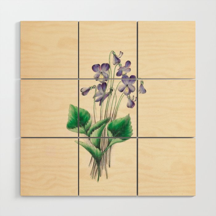  Violets by Clarissa Munger Badger, 1859 (benefitting The Nature Conservancy) Wood Wall Art Gallery Image 1