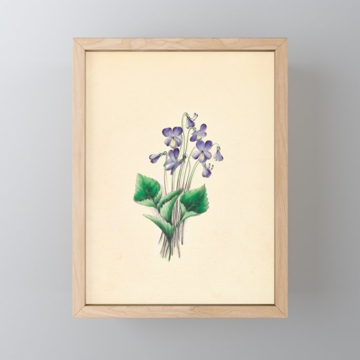  Violets by Clarissa Munger Badger, 1859 (benefitting The Nature Conservancy) Mini Art Print Gallery Image 1