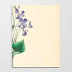  Violets by Clarissa Munger Badger, 1859 (benefitting The Nature Conservancy) Notebook Gallery Image 4