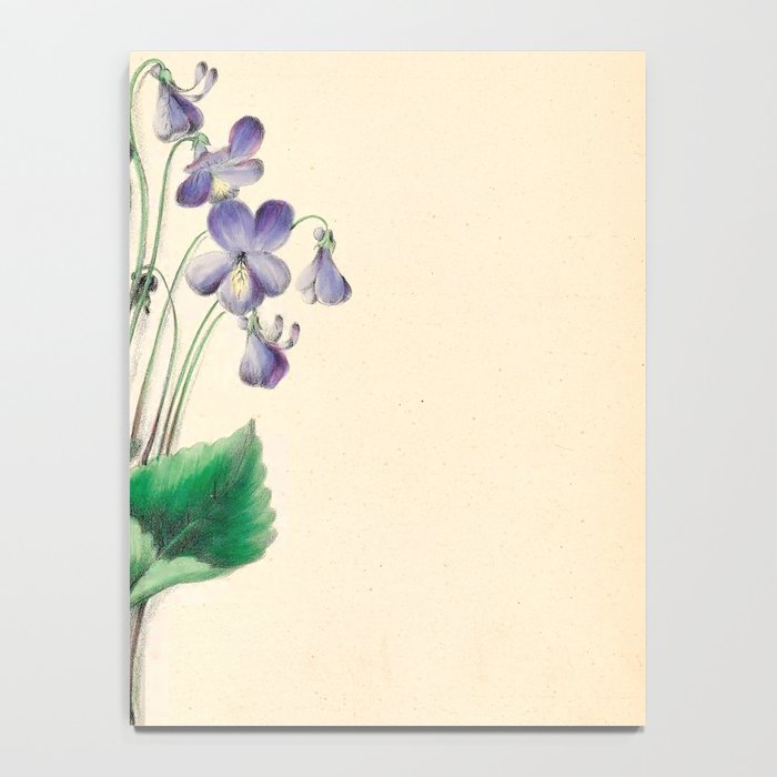  Violets by Clarissa Munger Badger, 1859 (benefitting The Nature Conservancy) Notebook Gallery Image 4