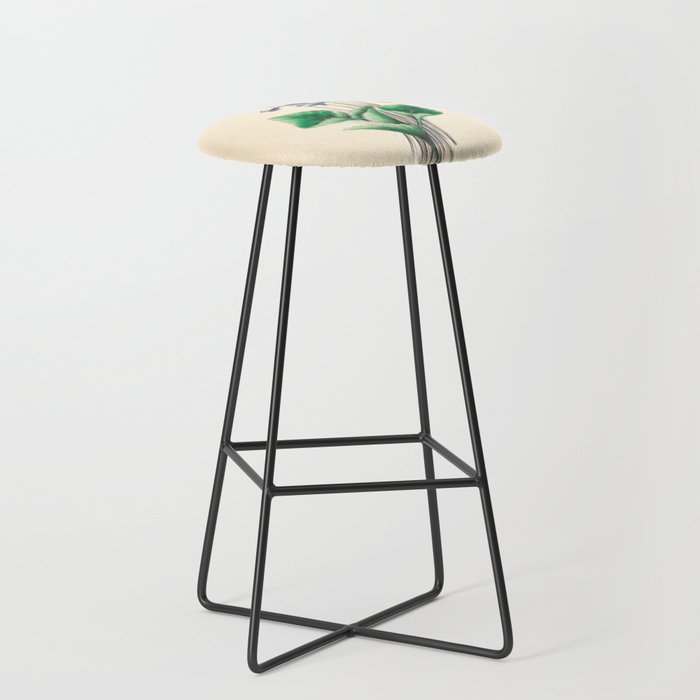 Violets by Clarissa Munger Badger, 1859 (benefitting The Nature Conservancy) Stool Gallery Image 1
