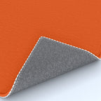 Burnt Orange Rug Gallery Image 4