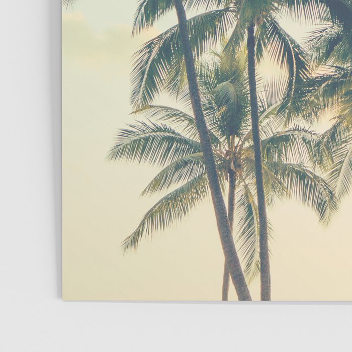 Tropical Skies - Palm Trees, Beach Photography Poster Gallery Image 3