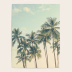 Tropical Skies - Palm Trees, Beach Photography Poster Gallery Image 4