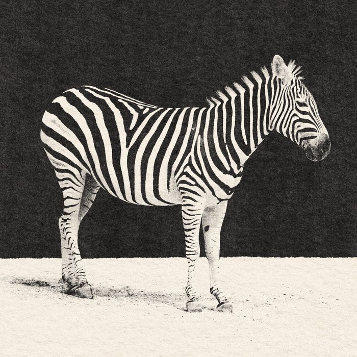 MINIMAL ANIMAL / Zebra Coffee Mug Gallery Image 2