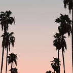California Sunset Coffee Mug Gallery Image 2