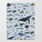 SEA CREATURES poster with names Notebook Gallery Image 4