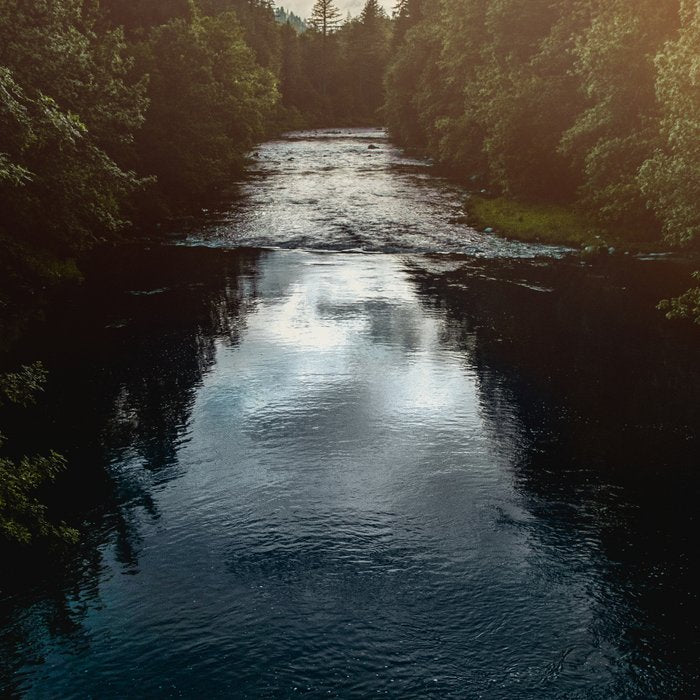 PNW River Run - Pacific Northwest Nature Photography Coffee Mug Gallery Image 2