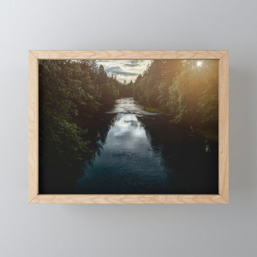 Pnw River Run - Pacific Northwest Nature Photography Mini Art Print