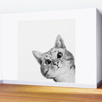sneaky cat Wall Mural Gallery Image 2