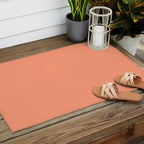 Peachy Salmon Peach Solid Colour Outdoor Rug Gallery Image 2