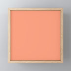 Peachy Salmon Peach Solid Colour Mini Art Print Gallery Image 1