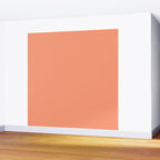 Peachy Salmon Peach Solid Colour Wall Mural Gallery Image 2