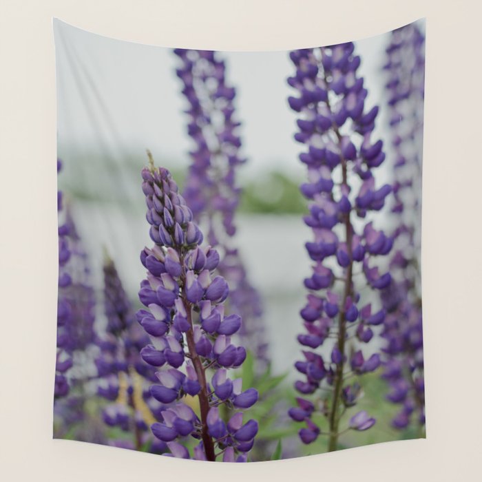 Lupine Field Wall Tapestry Gallery Image 4