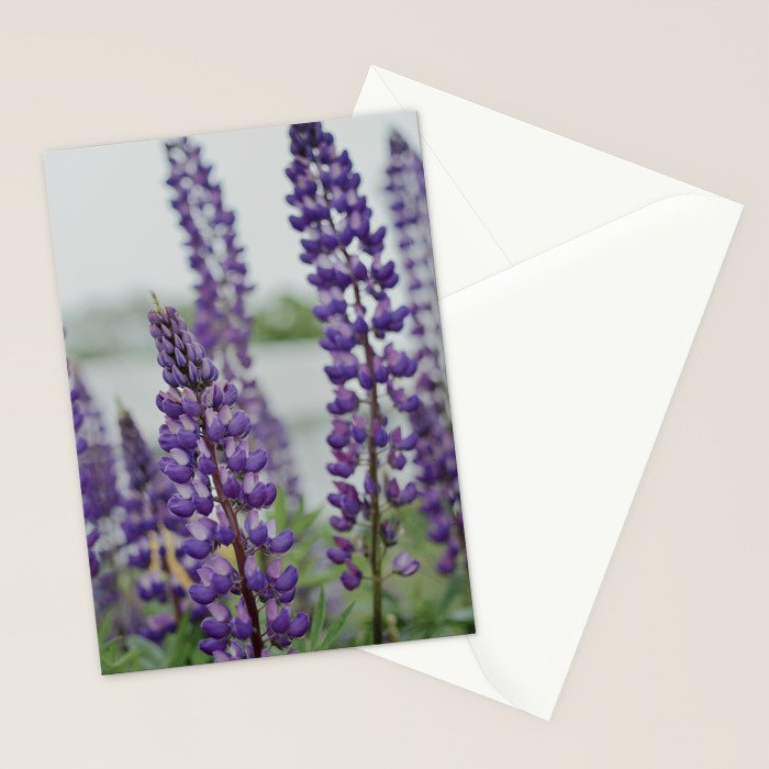 Lupine Field Stationery Card Gallery Image 2