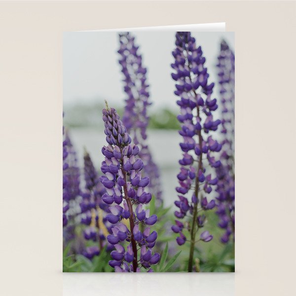 Lupine Field Stationery Card Gallery Image 2