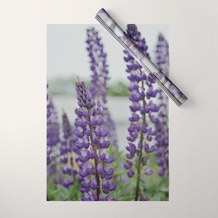 Lupine Field Wrapping Paper Gallery Image 1
