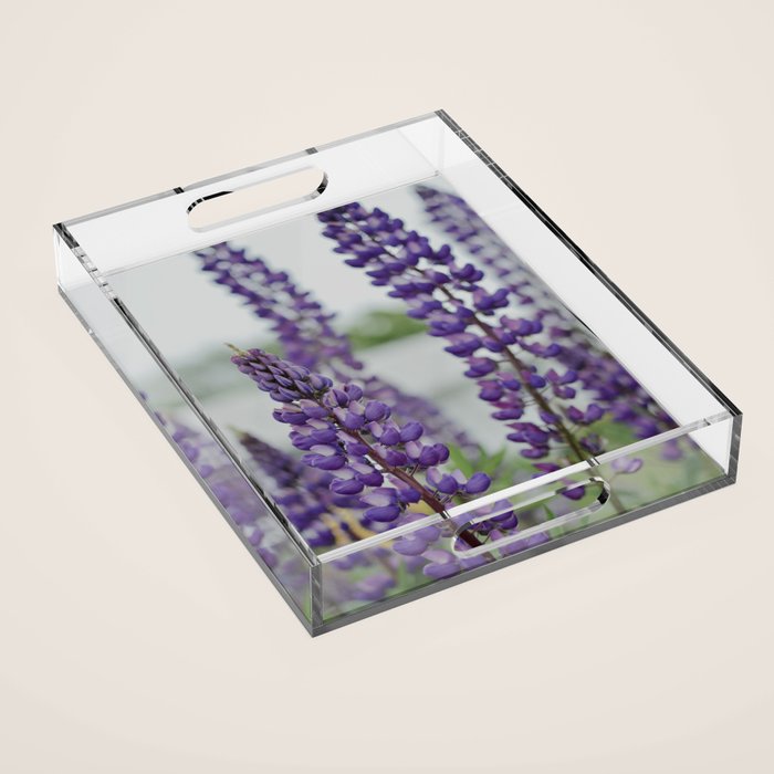 Lupine Field Acrylic Tray Gallery Image 1