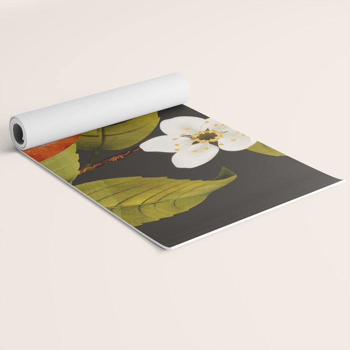 Apples Botanical Art 1 Yoga Mat Gallery Image 2