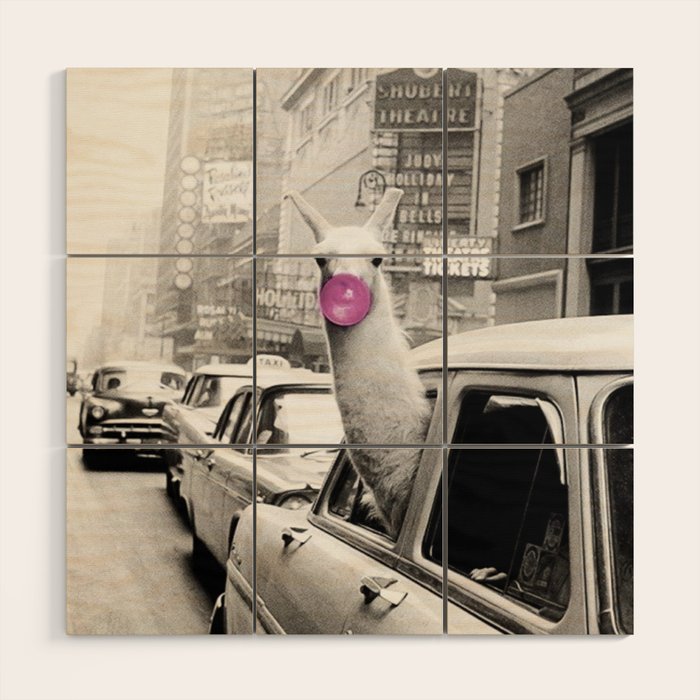 Perfect Pink Bubble Gum Llama taking a New York Taxi black and white photograph Wood Wall Art Gallery Image 1