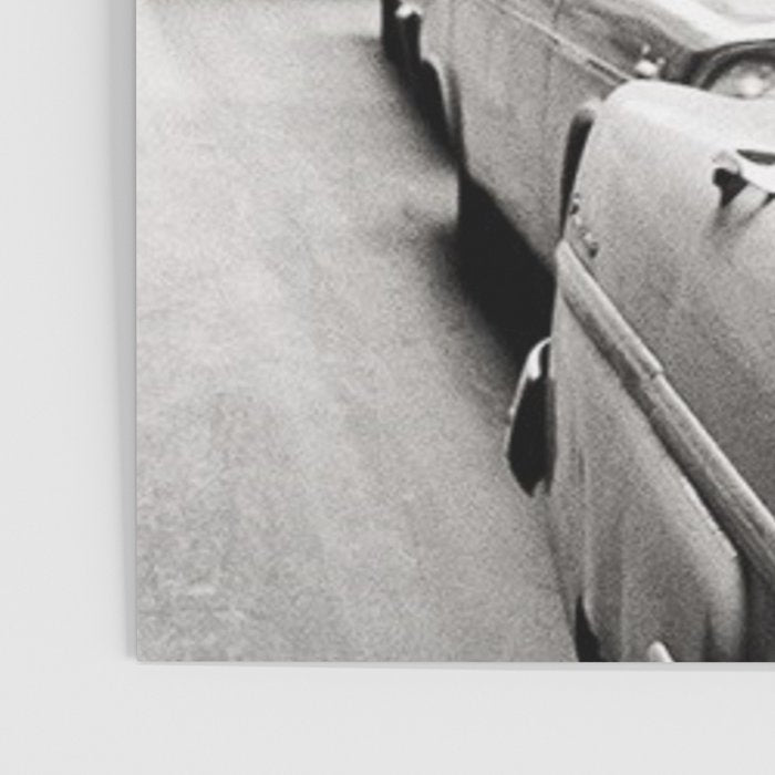 Perfect Pink Bubble Gum Llama taking a New York Taxi black and white photograph Poster Gallery Image 3