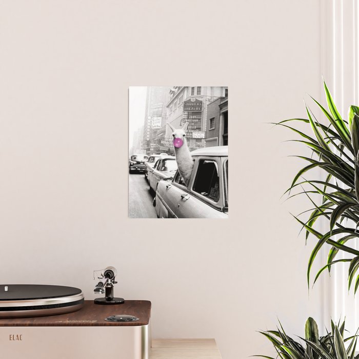 Perfect Pink Bubble Gum Llama taking a New York Taxi black and white photograph Poster Gallery Image 2