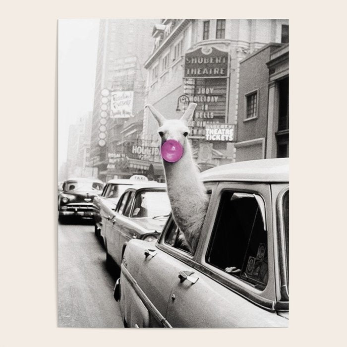 Perfect Pink Bubble Gum Llama taking a New York Taxi black and white photograph Poster Gallery Image 4