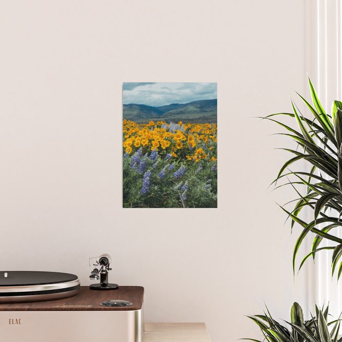 Oregon Spring Wildflower Hillside Poster Gallery Image 2