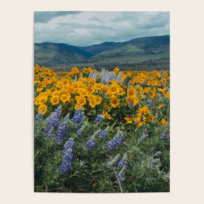 Oregon Spring Wildflower Hillside Poster Gallery Image 1