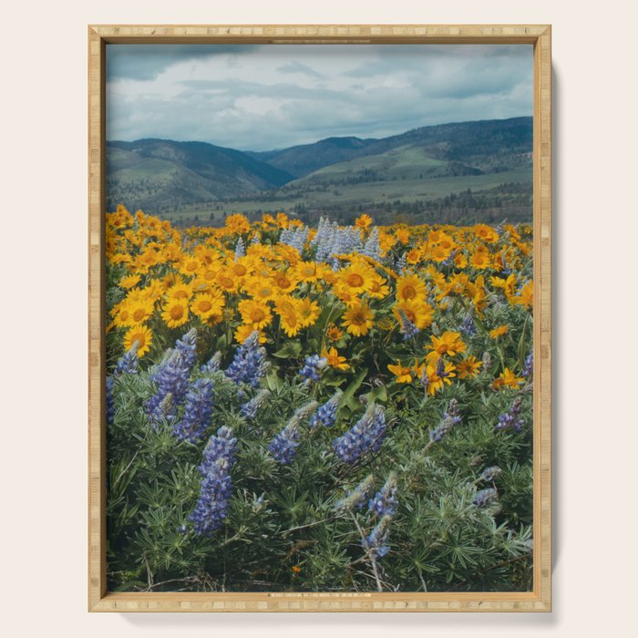 Oregon Spring Wildflower Hillside Serving Tray Gallery Image 1