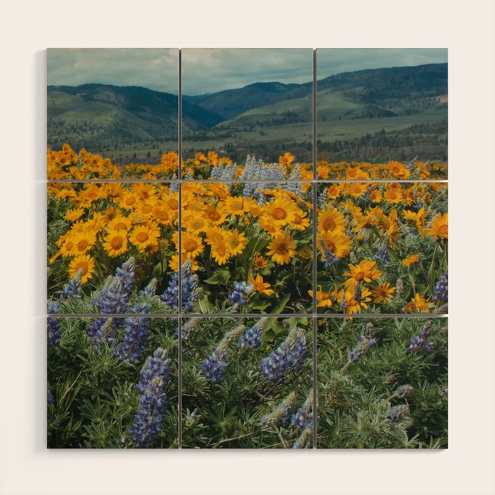 Oregon Spring Wildflower Hillside Wood Wall Art Gallery Image 1