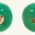 Wren Coffee Mug Gallery Image 2