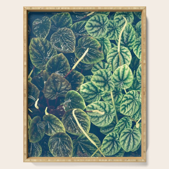 Green Leaves Serving Tray Gallery Image 1